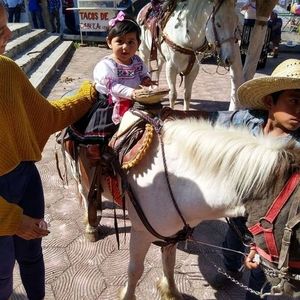 Meet your Posher, Ernesto